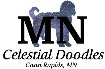 MN Celestial Doodles